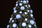 0001_318491249_8544546462254249_3571076966940051178_n_1672235829-b28e6d85838b9e16431e9eace1106406.jpg