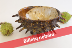 0001_bilietu-nebera-1kastonas_1788328324-d78226d52b4d310e84448f4099695298.png