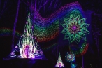0001_violetos-ramanauskienes-nuotr_3_1690804104-717344bb6fc1c3107cbc121b71e8977d.jpg