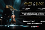 0001_wb_domino_siauliai_1080x1920_1673533534-a61a4fa0d94b4bcf7255b83ba98004cb.jpg