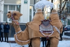 0004_rolando-parafinaviciaus-nuotr-1_1735809967-fed8cf10f1465176e079dfc8262a62d5.jpg