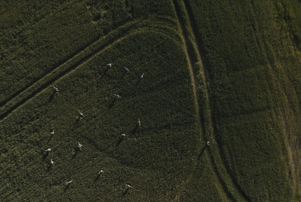 0005_5_1625733360-1d43734d2e29dcbaaa1b47cc8c3b763f.jpg