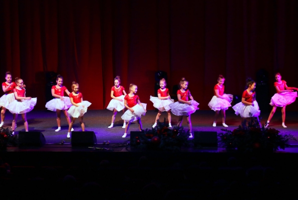 0006_skc-jau-zvaigzde-patekejo-vilmos-sungailes-nuotr-5_1576570724-61ec2da4094ac7e3b8c1552234a3436b.jpg