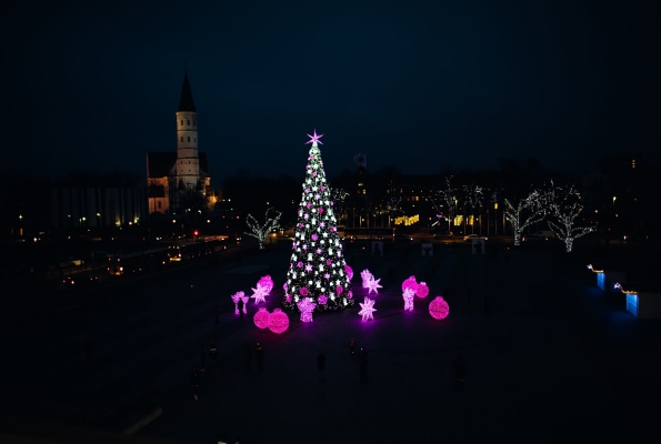 0007_0007_kestutis-saltis-2_1607114024_1609234059-74560b0a1537eb2e137a37e508de7f70.jpg