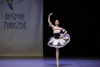 0007_klasikinis-sokis-gintares-daknytes-nuotr_1778483238-6a3cb6e2fbcae439cb46b979e7317e13.jpg
