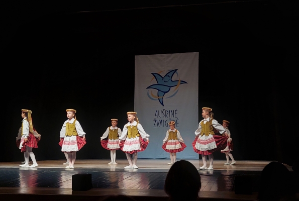 0009_kamiles-lionikaites-nuotr_1685008795-60d2c3d2ac68e0dfe1edad695767ccce.jpg