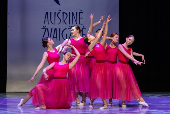 0009_rolando-parafinaviciaus-nuotr_1747593637-74aa03784851c18e99be17b6636d12f5.jpg