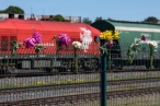 0010_3i1a6797_1623678895-075bd1bb0cb1ddd8be0e64e6946b9ed7.jpg