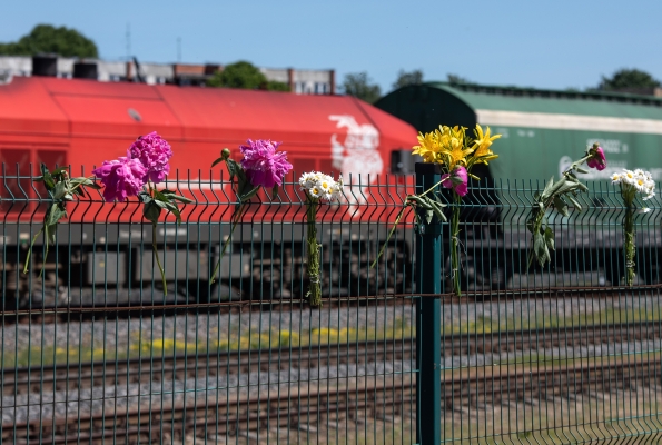 0010_3i1a6797_1623678895-9872626c403fd21e1e26bbaff69a70ce.jpg