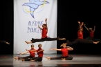 0010_vitos-jevtusenkienes-nuotr_1715576382-e913e3a558db6498f4ec068c9804778d.jpg