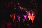 0011_violetos-ramanauskienes-nuotr-0147_1694332998-5bfedb6c7f4120b96658a16442b94c33.jpg