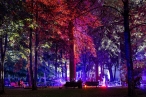 0014_magiskas-parkas-rolando-parafinaviciaus-nuotr-2-min_1725787003-6fd67e4498837a55d3ed0e956f98b859.jpg